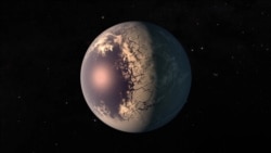 NASA обнаружило новые планеты, похожие на Землю (видео) NASA обнаружило новые планеты, похожие на Землю (видео)