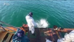 Авария в Керченском проливе спустя полгода