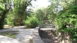 Курортный парк в Саках: как зеленая зона превращается в руины (видео) Курортный парк в Саках: как зеленая зона превращается в руины (видео)