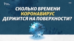 Сколько времени опасен вирус на поверхности Сколько времени опасен вирус на поверхности