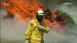 «Тікати вже пізно» – пожежі в Австралії наблизилися до Сіднею (відео) «Тікати вже пізно» – пожежі в Австралії наблизилися до Сіднею (відео)