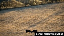 Росія заперечує загарбницьку війну проти України, а називає це «спеціальною операцію» з метою «демілітаризацію і денацифікацію». Фото ілюстративне