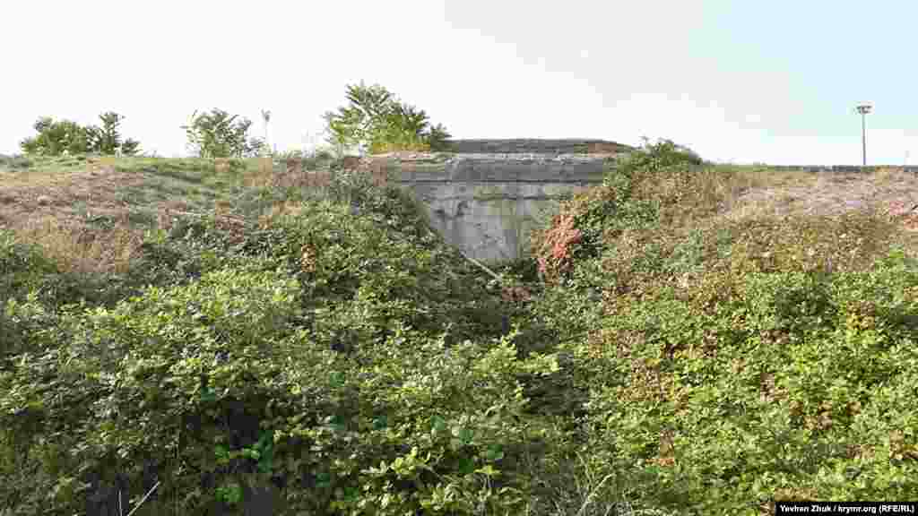 Вход в нижний ярус одного из погребов скрыт зарослями ежевики  