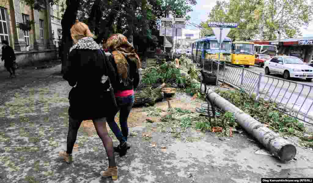 Сильный ветер ломал даже столбы
