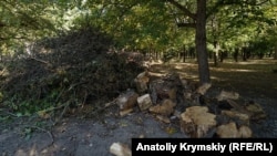 Парк культуры и отдыха имени Юрия Гагарина в Симерополе, 2019 год