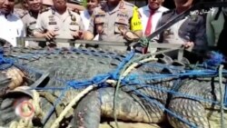 د ډېسېمبر ۳۰مې ویډیويي خبرونه د ډېسېمبر ۳۰مې ویډیويي خبرونه