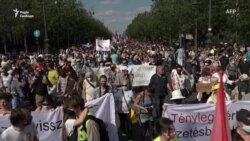 У Будапешті протестували проти будівництва китайського кампусу (відео) У Будапешті протестували проти будівництва китайського кампусу (відео)