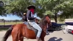 Верхом на выборы Верхом на выборы