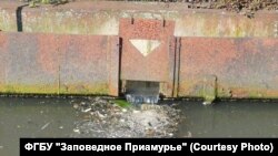 Иллюстративное фото