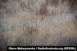 Мінні загородження у полях обабіч алеї
