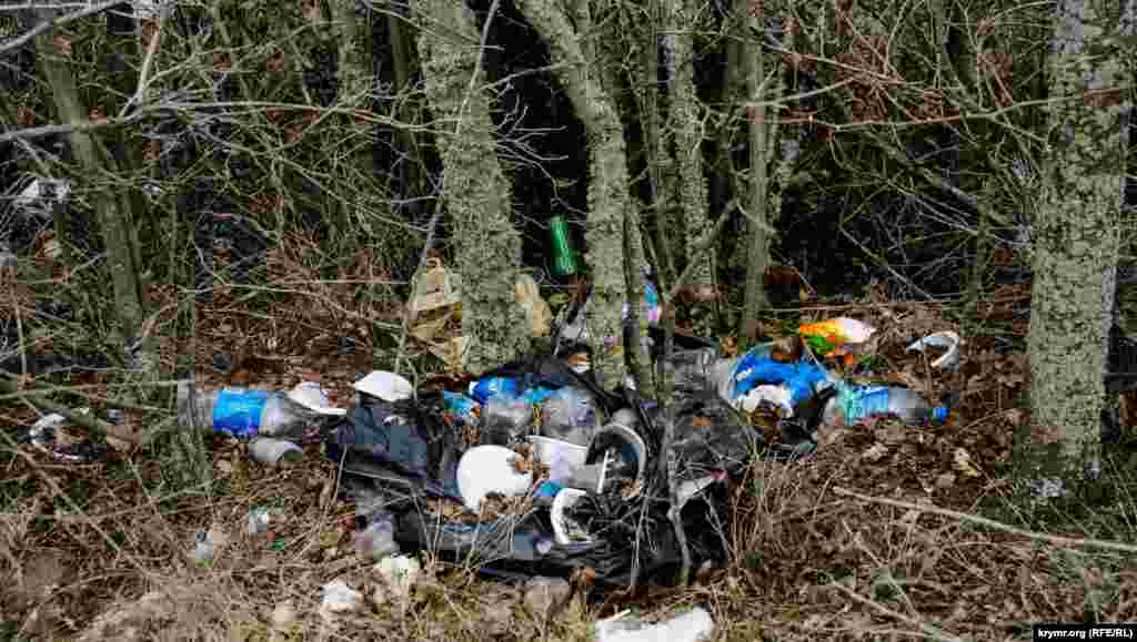 Традиционные издержки отдыха в лесу 