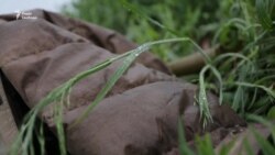 Українські військові пов’язують обстріли їхніх позицій на Донбасі з візитом делегації України до Німеччини – відео Українські військові пов’язують обстріли їхніх позицій на Донбасі з візитом делегації України до Німеччини – відео