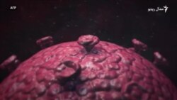 د کورونا وایرس اومېکرون بڼه او په اړه یې اندېښنې د کورونا وایرس اومېکرون بڼه او په اړه یې اندېښنې