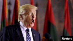 Дональд Трамп во время выступления в Вашингтоне 25 апреля 2017 года