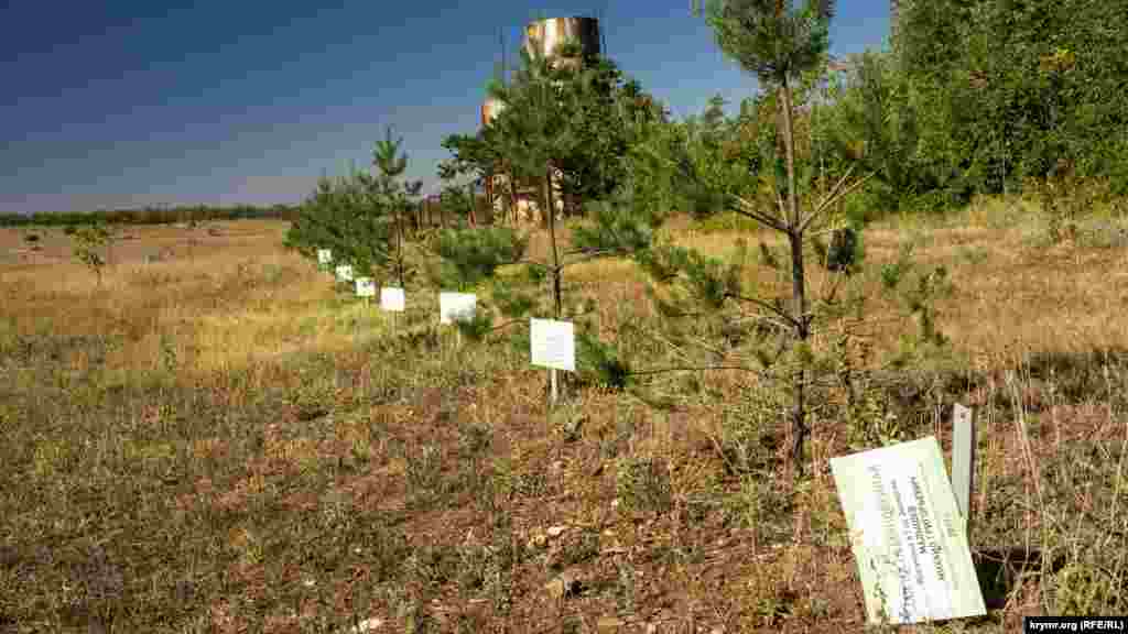 К каждому деревцу прикреплена именная табличка, в том числе «героев крымской весны» Сергея Аксенова, Владимира Константинова и других