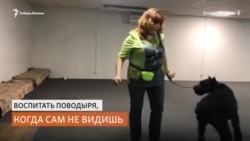 Незрячий тренер собак-поводырей не может получить документы из-за руководителей профессиональных школ Незрячий тренер собак-поводырей не может получить документы из-за руководителей профессиональных школ