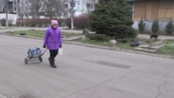 Курск Курск