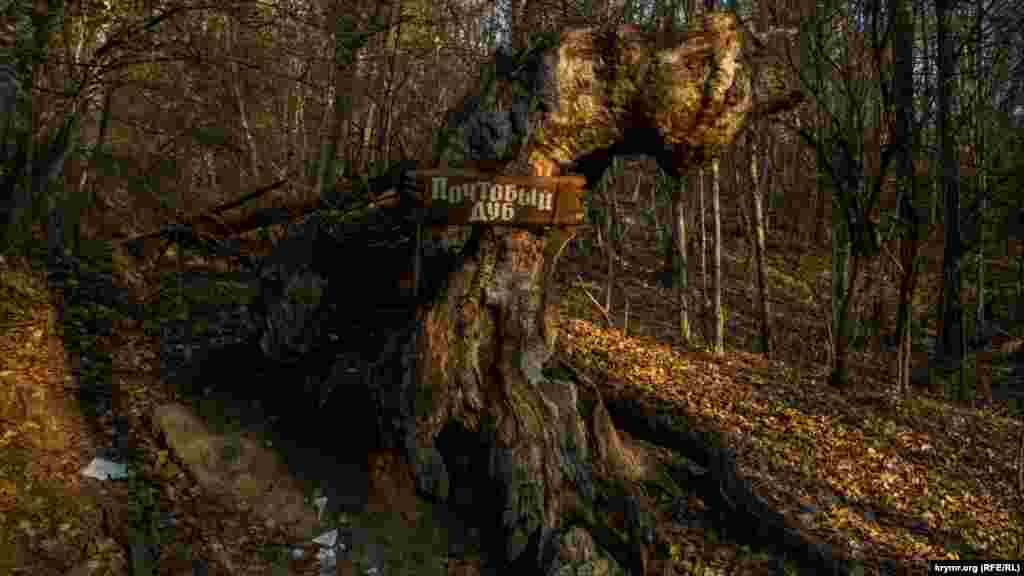 «Почтовый дуб» – в прошлом огромный скальный дуб – служил своеобразным почтовым ящиком для туристов, посещающих каньон