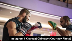 Хамзат Чимаев на тренировке