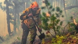 Часть России охватили масштабные лесные пожары (видео) Часть России охватили масштабные лесные пожары (видео)