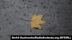 В Україні дощитиме