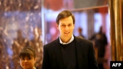 Джаред Кушнер