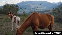 Иллюстрационное фото