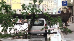 Московский ураган. Последствия Московский ураган. Последствия