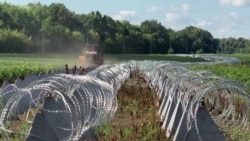 Брянское дело  Брянское дело