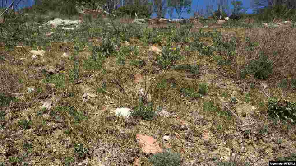 На восточном склоне – обломки старой полукруглой черепицы, которую в Крыму называют «татаркой». Ее делали в основном в Бахчисарае, и некоторые дома на полуострове до сих пор ей покрыты. Возможно, выше по склону тоже когда-то было здание. В наши дни старая «татарка» до сих пор пользуется спросом, ее активно продают через сайты объявлений