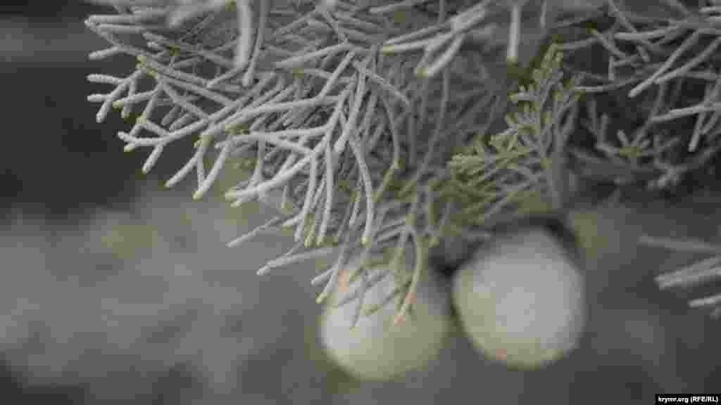 Нижние ветки кипарисов на обочине дороги покрыты плотным слоем карьерной известняковой пыли. Местные жители не раз жаловались на круглосуточный шум и постоянную пыль. Особенно активно работы велись в 2016–2018 годах, когда щебень и песок с месторождения везли на строительство трассы «Таврида», Керченского моста и реконструкцию «Артека»