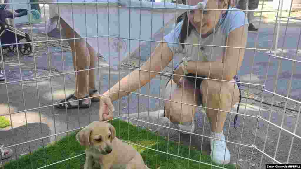 Natalija Marijanović, iz Niša, posetila je festival. "Imam dva psa koje sam udomila. Obe su mnogo pametne. Volimo se i uživamo", rekla je Natalija za RSE.