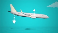 Почему разбился "Боинг" "Эфиопских авиалиний"? Почему разбился "Боинг" "Эфиопских авиалиний"?