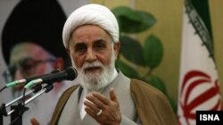 علیاکبر ناطق نوری، عضور مجمع تشخیص مصلحت