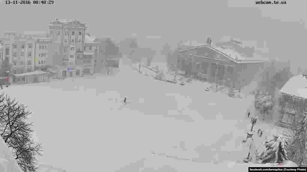 «Один у полі воїн» – так прокоментували тернопільці одну із перших світлин «осіннього» снігу в місті