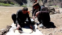 Digging And Desperate: Afghans Risk Lives To Illegally Mine Gold Digging And Desperate: Afghans Risk Lives To Illegally Mine Gold