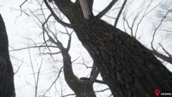 Самое чистое место Казани хотят застроить Самое чистое место Казани хотят застроить