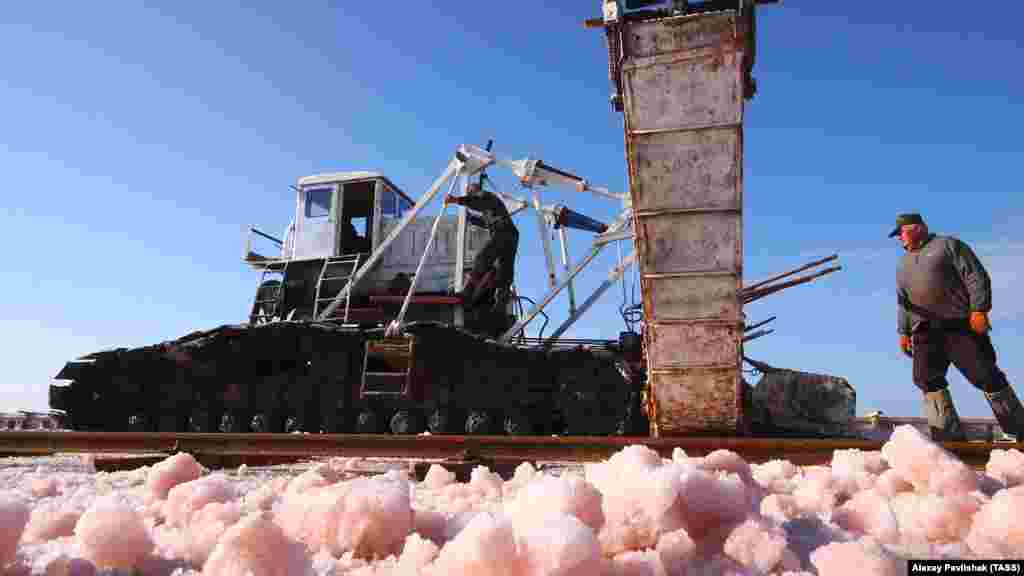 А это уже 2013 год. Как видно на фото, урожай собирается комбайном производства 1934 года. Его постоянно ремонтируют, продлевая «жизнь» техники, аналогов которой нет