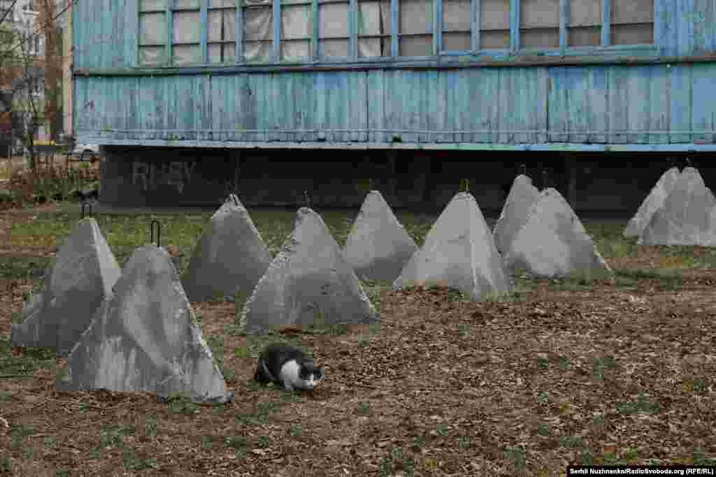 У цьому районі міста розставили так звані «зуби дракона», зустрічаємо кота і насипаємо йому сухого корму. У місті ще відносно багато людей і безпритульних котів й собак люди підгодовують 