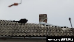 У Київській області також очікують погіршення погоди. Швидкість вітру вночі посилиться до 15-20 м/с, уточнила місцева влада, ілюстративне фото