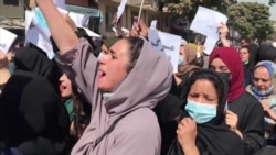 Despite Gunfire And Lashings, Afghan Women's Protests Grow Despite Gunfire And Lashings, Afghan Women's Protests Grow