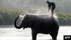 Ілюстративне фото