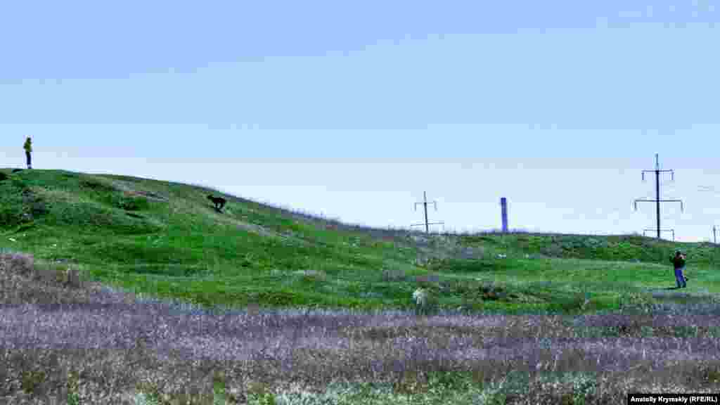 Или вполне «законно» выгулять своих домашних питомцев