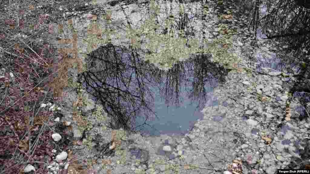 «Сердце» Арманки