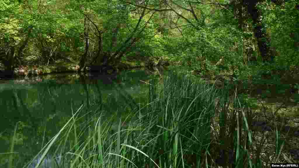 Тихие заводи Черной речки. Раньше носила крымскотатарское название Чоргунь. В 1667 году турок Эвлия Челеби упоминал ее в своей «Книге путешествий» как Казыклы-Озен. На карте Федора Черного 1790 года река обозначена, как Кирмень, а академик Петр Симон Паллас упоминает ее в своих сочинениях как Биюк-Узень или Казикли-Узен