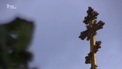 Конфлікт у Києво-Печерському заповіднику. Тепер у комплексі два директори? (відео) Конфлікт у Києво-Печерському заповіднику. Тепер у комплексі два директори? (відео)