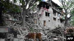 Наслідки землетрусу в провінції Кунар, Афганістан, 1 вересня 2025 року