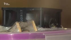 Зволожувач повітря із функцією знезараження презентував школяр із Кропивницького Зволожувач повітря із функцією знезараження презентував школяр із Кропивницького