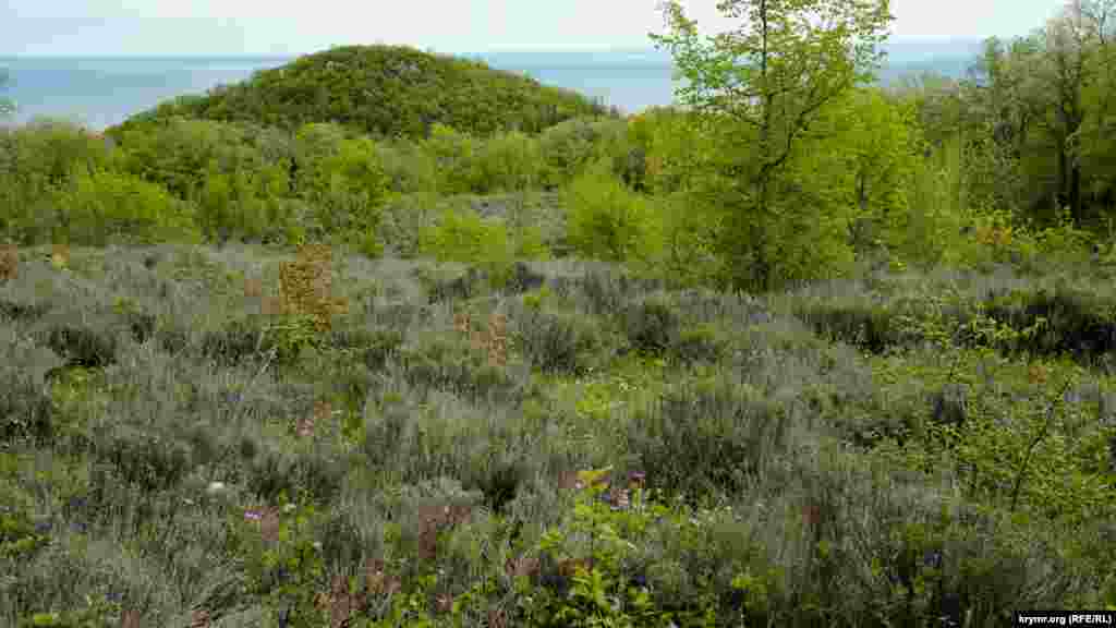 У проселочной дороги – заброшенный участок горной лаванды на фоне макушки горы Малый Ай-Тодор. Справа за горой раскинулось курортное приморское село Малый Маяк
