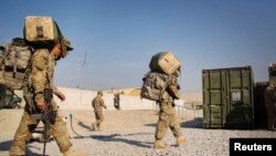 ارشیف، عکس تزئیني بڼه لري